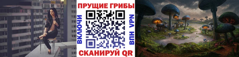Галлюциногенные грибы Cubensis  Мензелинск 
